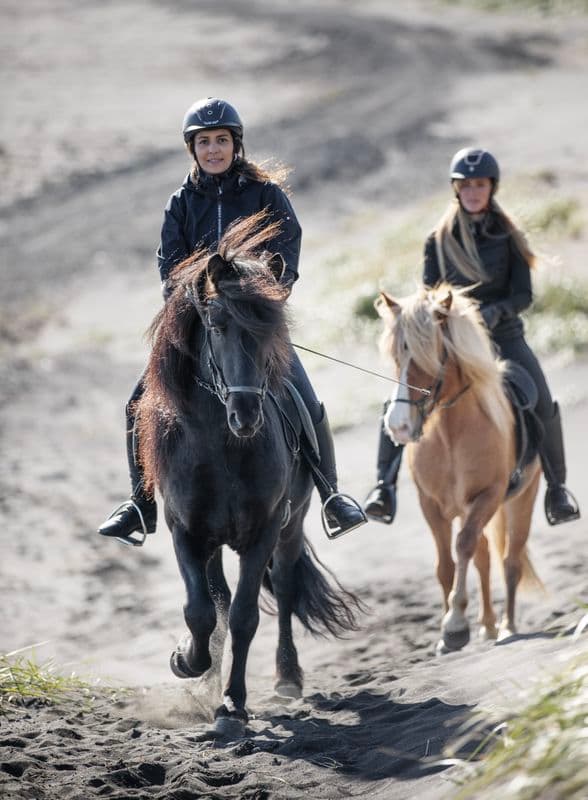 2 Hour Private Horsebackriding - Incredible opportunity to explore the enchanting landscapes while riding on a well-trained Icelandic horses