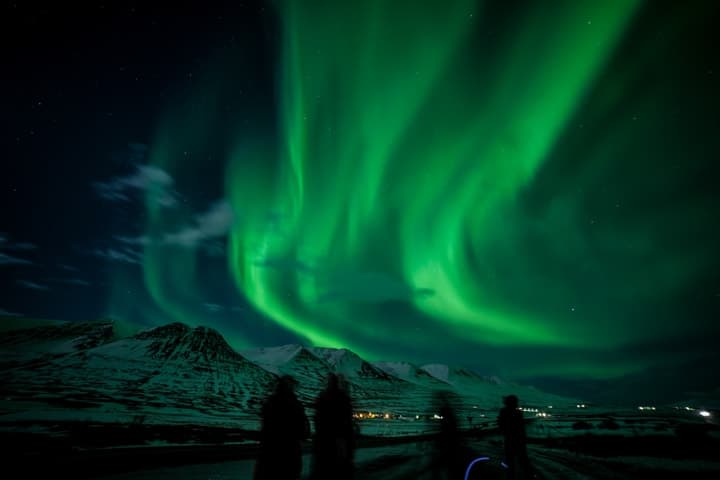 Evening Forest Lagoon & Northern Lights