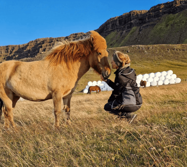 Private Farm Visit & Silver Circle Day Tour in West Iceland