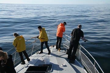 Fishing on Elding II
