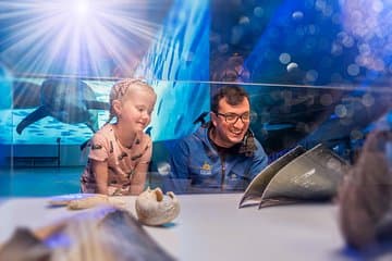 Whales of Iceland Exhibition