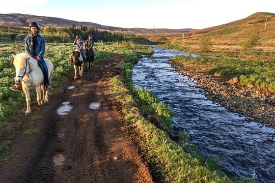 3 hour Private Horse Riding Tour in Mosfellsdalur