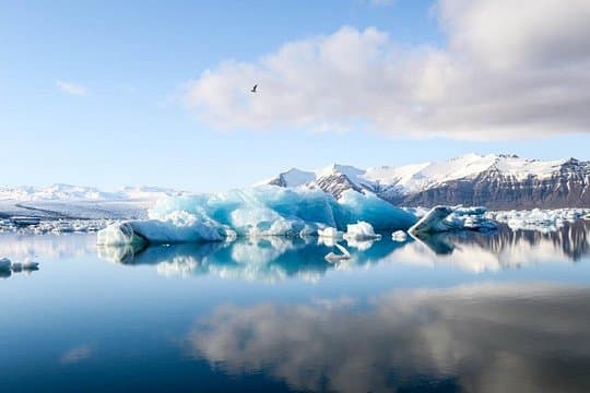 Jökulsarlón Glacier Lagoon Tour