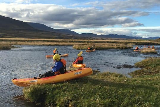 Guided Sit on Top Kayak Tour near Akureyri