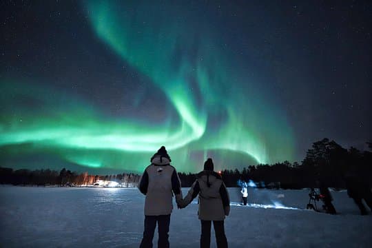 Rovaniemi : Northern Lights Hunt Max 8 + プロ Photos & 100% 払い戻し