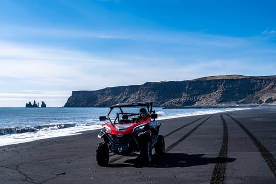 Private South Coast and Black Beach Buggy Tour