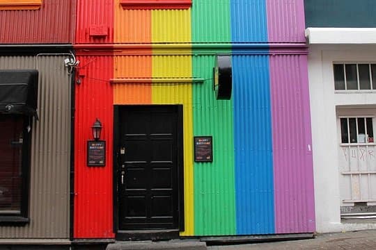 Private Reykjavik LGBTQ City Walk