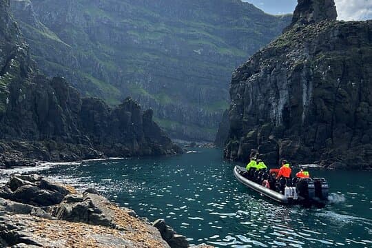 1 Hour Iceland Nature and Wildlife RIB Small Group Guided Safari