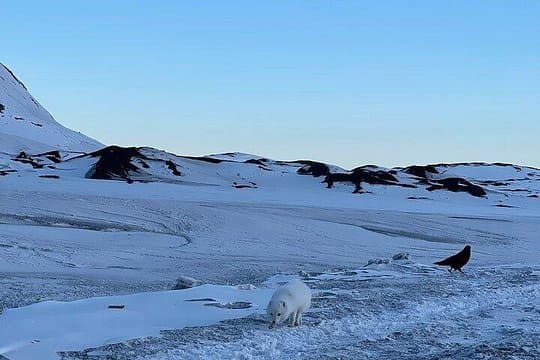 Tour Privado Círculo de Plata desde Reikiavik
