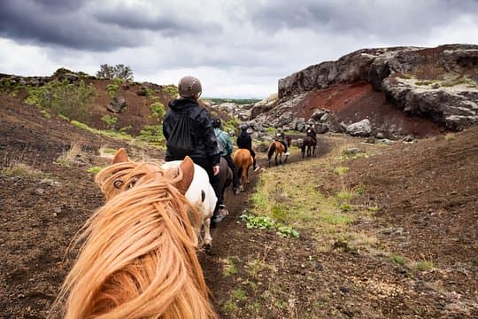 Red Lava Horse Riding Tour From Reykjavík