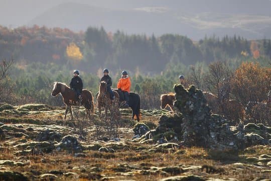 Private Icelandic Horseback Ride: Matched to Skill Level