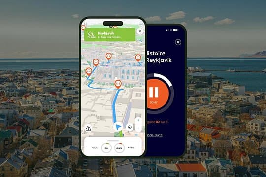 Reykjavik Audio Guided Walking Tour 2h30 and 20 reviews