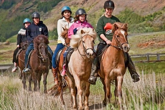 One-Hour Horseback Riding Tour in the Icelandic Countryside