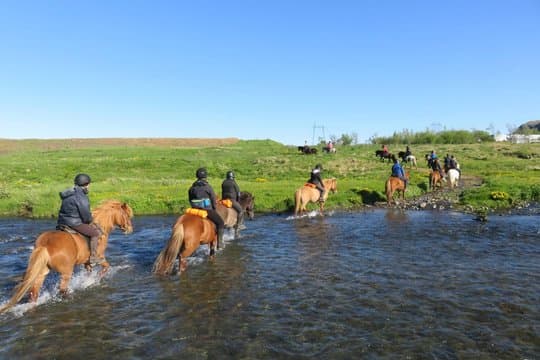 The Siggi Tour from Reykjavík: 1.5 to 2-Hour Ride