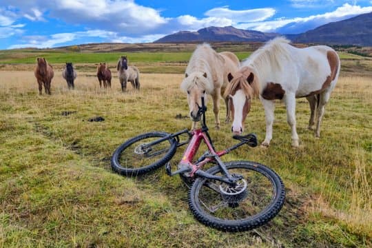 Svarfadadalur Private E MTB Tour