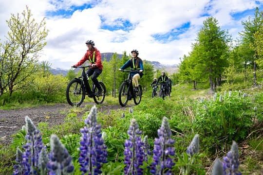 Guided E-Bike Tour in Isafjordur