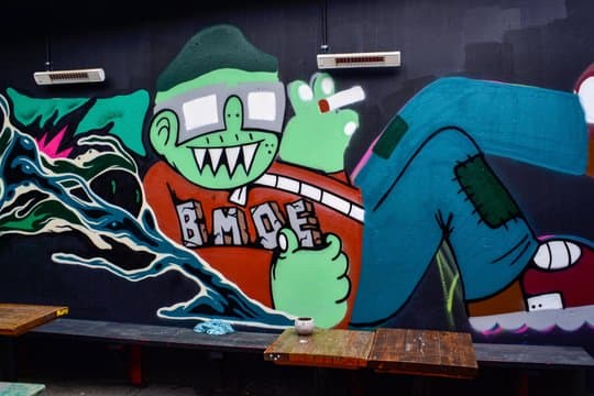 Private Reykjavik Street Art Walking Tour Backstreets and Stories