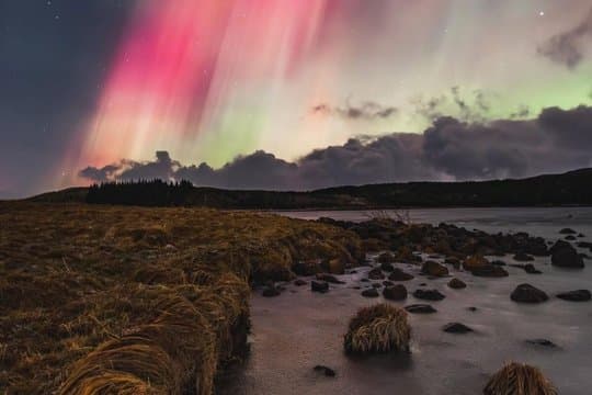 Tour privado de caza de la aurora boreal en Reikiavik con chocolate caliente