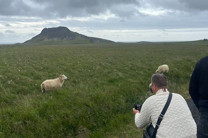 Reykjanes Peninsula Private Tour