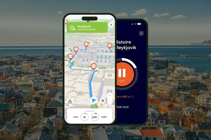 Reykjavik Audio Guided Walking Tour 2h30 and 20 reviews