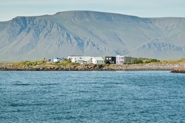 Private Shore Tour: Best Value Whale Watching from Reykjavik