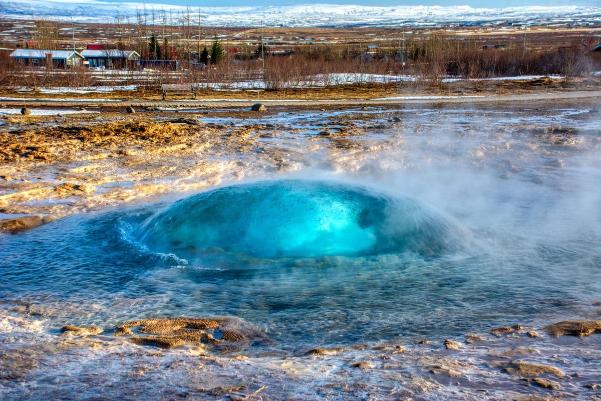 Golden Circle, Silfra Snorkeling & Fridheimar Tomato Farm - with photos