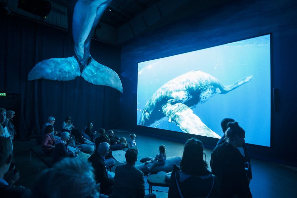 Whales of Iceland Museum Admission