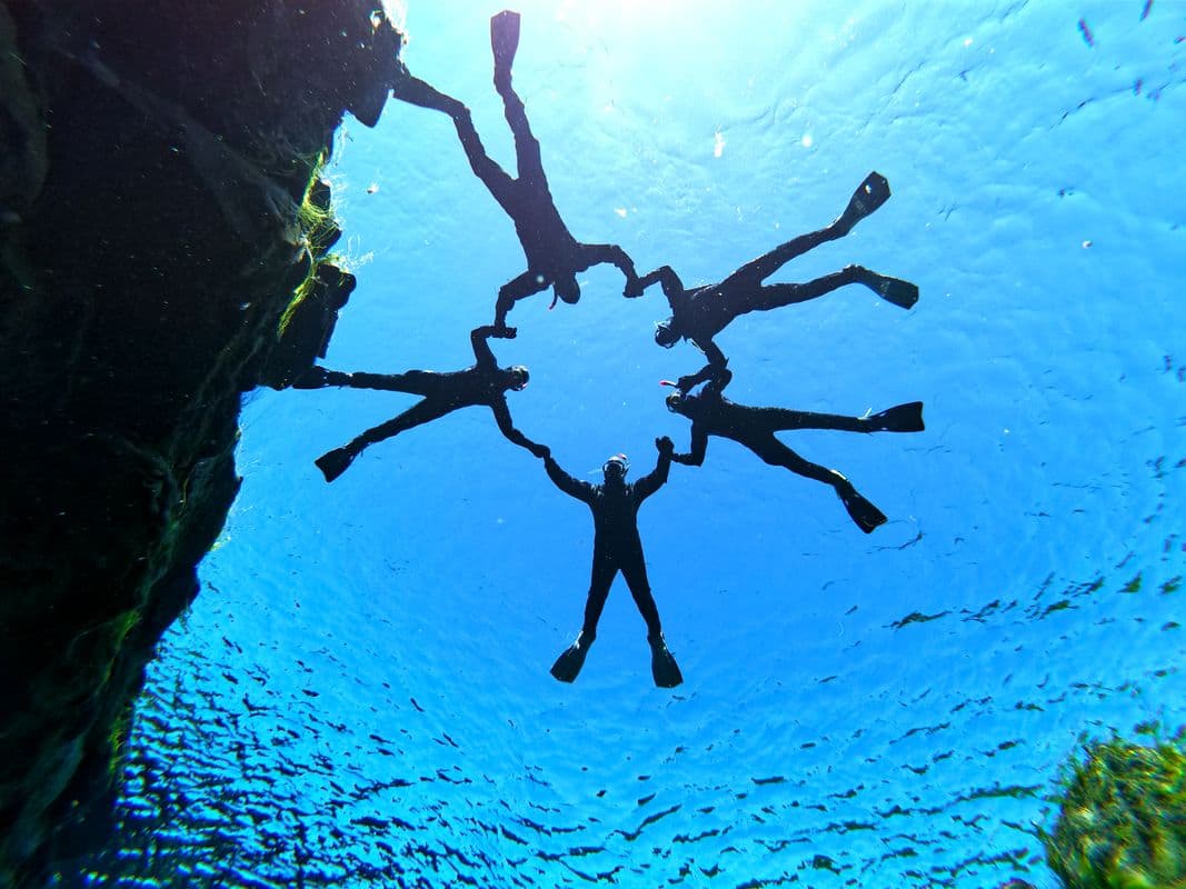 Drysuit Snorkeling in Silfra - with underwater photos / From Reykjavik