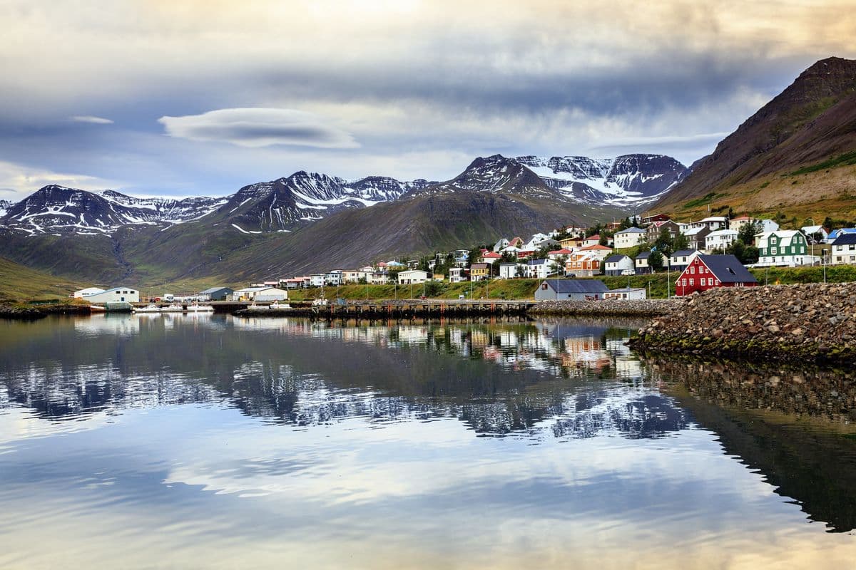 Private Arctic Coastline & Whale Watching