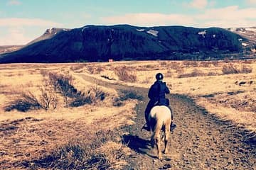 Riding in Iceland
