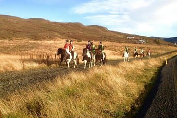 Our sunset tours are amazing