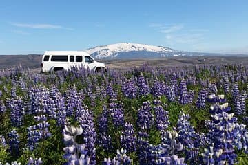 Icelandic Nature