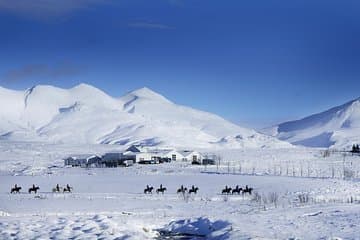 Laxnes Farm, Winter