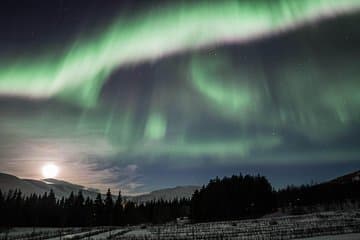 NorthernLights in Eyjafjordur