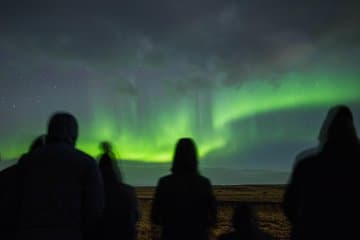 Guide makes several coach stops to observe the natural phenomenon.
