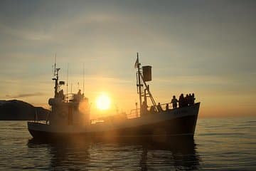 Húsavík Traditional Whale Watching by Local Family Company