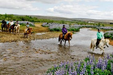 Laxnes Farm, River crossing