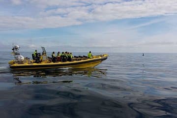 Spotting whales with Ribsafari