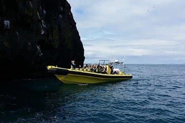 A blast with Ribsafari.is