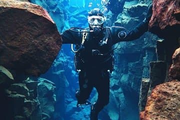 The dive between the continents