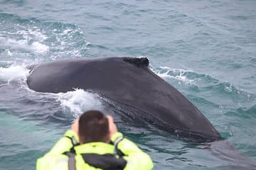 A passenger gets an up-close look!