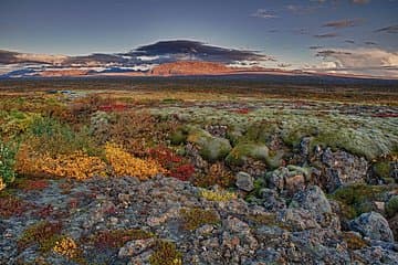 Thingeviller National Park