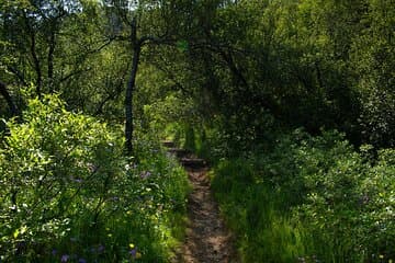 Hiking path in Thórsmörk