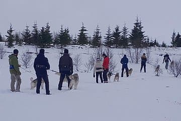 mixed groups