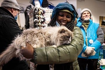 One of the many cats you will get to know during our Private Reykjavik Catwalk