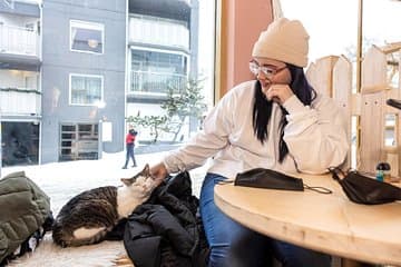 "What a purr-fect moment"