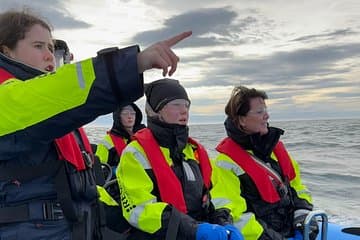 The search for whales/dolphins can be very exciting.