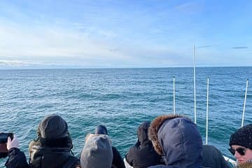 Guests eagerly scan the horizon in search of whales on a bright, crisp Icelandic day.