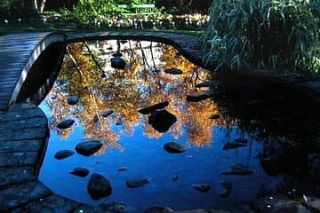Akureyri's Botanical garden