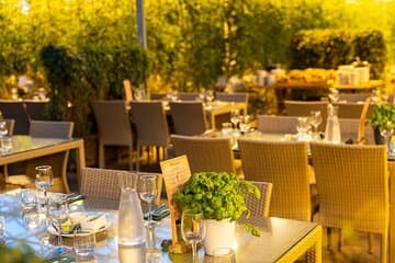 Enjoy the best tomato soup in the world!